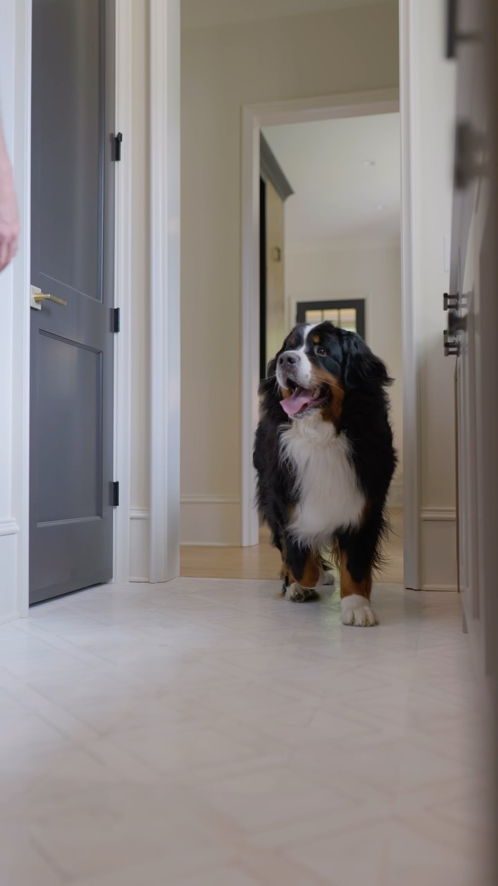 🐾 Welcome to the ultimate mudroom 🐾 With a dog washing station, built-in bowls, storage, and a laundry area, it’s the perfect solution for keeping your home clean and organized 🐶🧼 #pikeproperties 
•
•
⚒️ @pikeproperties
🎥 @skyvisionsusa